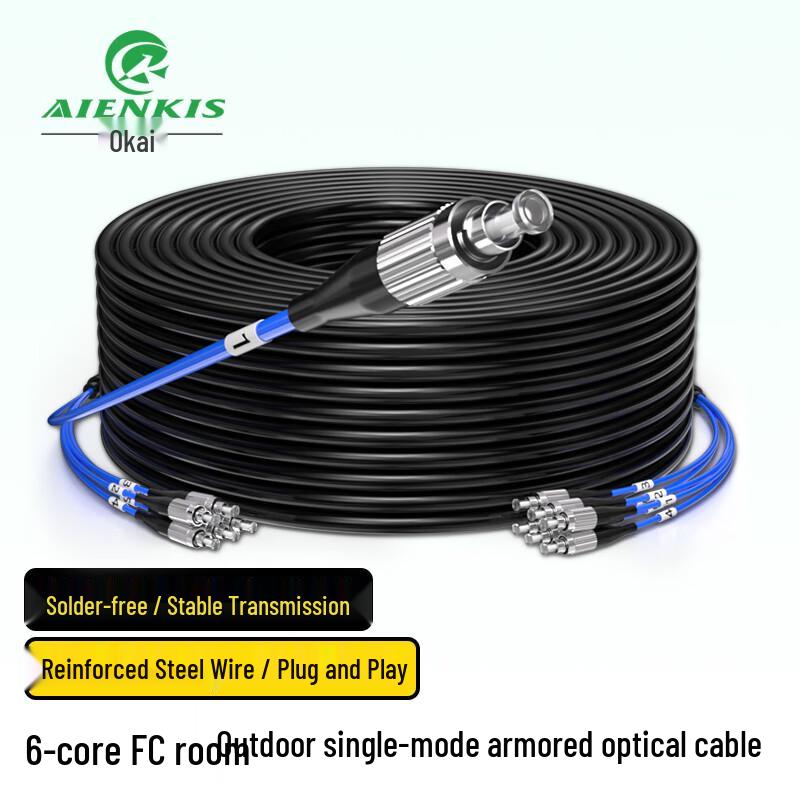 AIENKIS Outdoor Single-Mode Armored 6-Core FC Fiber Optic Cable