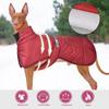 Winter Dog Clothes For Big Dogs Warm Fleece Large Dog Jacket Waterproof Pet Coat With Harness Labrador Clothing Pet Costume