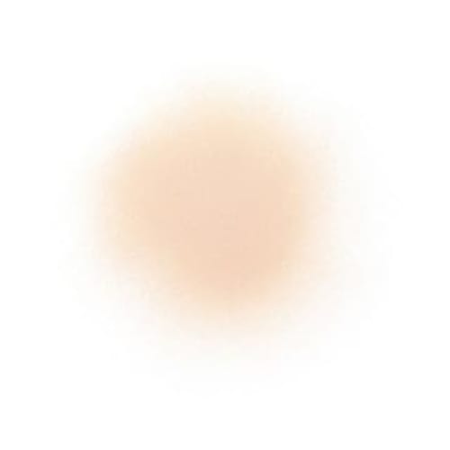 Cosme Decorte Loose Powder 06 nude matte beige 20g
