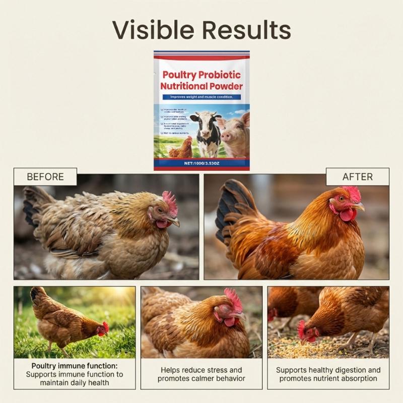 Poultry Feed Supplements Powder with Rich Probiotics And Vitamins For Livestock Strong Immune System And Healthy Growth