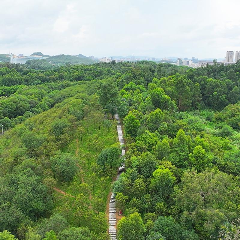 Wide-Angle Lens Wide Angle for Mavic3 Pro Professional Lens Broadened Perspective Brushed Flare Aerial Photography