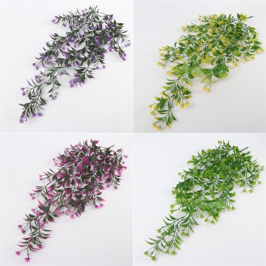 Chlorophytum Indoor Comosum Wall Hanging Plant For Living Room And Bedroom