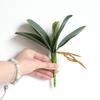 Beautiful Artificial Plant Fresh-keeping Eco-friendly Decorative