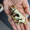 Festival Gifts Metal Pig Mini Tape Measure Unique Vintage Pig Statue Tape Measure Pigs Figurine Animal Tape Measure Sewing Tool
