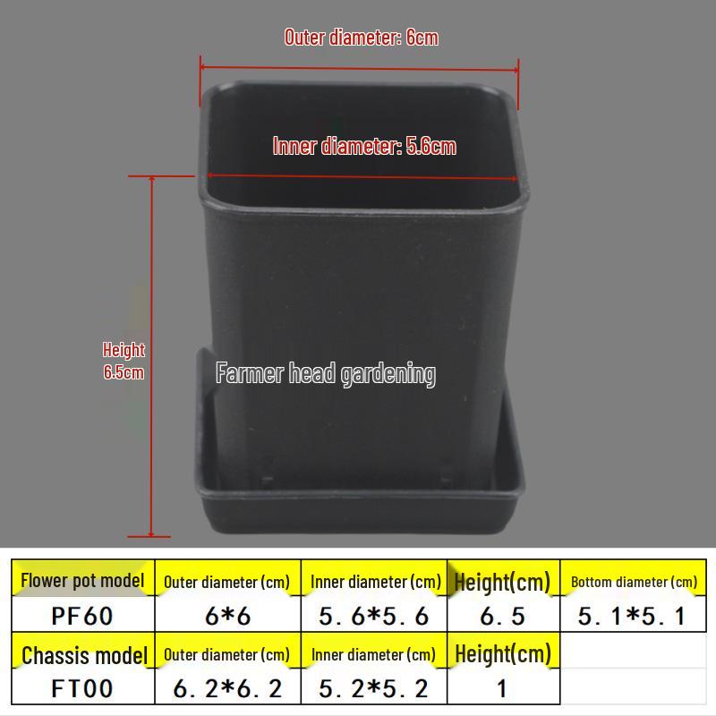 Square Root Control Succulent Pot: Short & Chubby Plastic Flower Pot for Seedlings or Kindergarten Activities