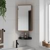VidaXL Corner Bathroom Mirror Cabinet Oak 30x24x60 Cm 357980