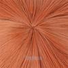 Iirukaa Angel Devil Wig Cosplay Wig Wig Net Goods Heat Resistant for Photography 2D Event Halloween Disguise Costume