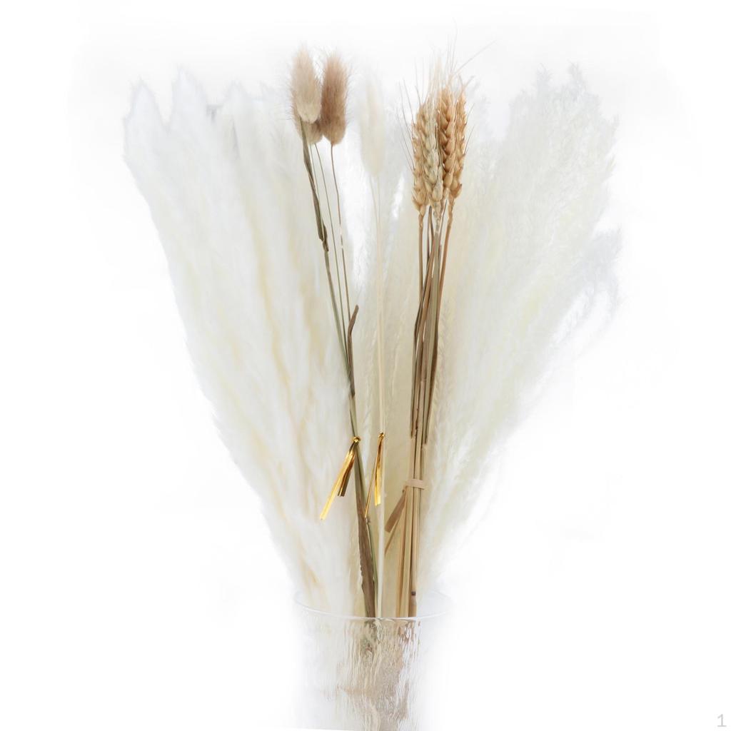 30-Piece Handpicked Dried Grass Bundle - Decor Collection