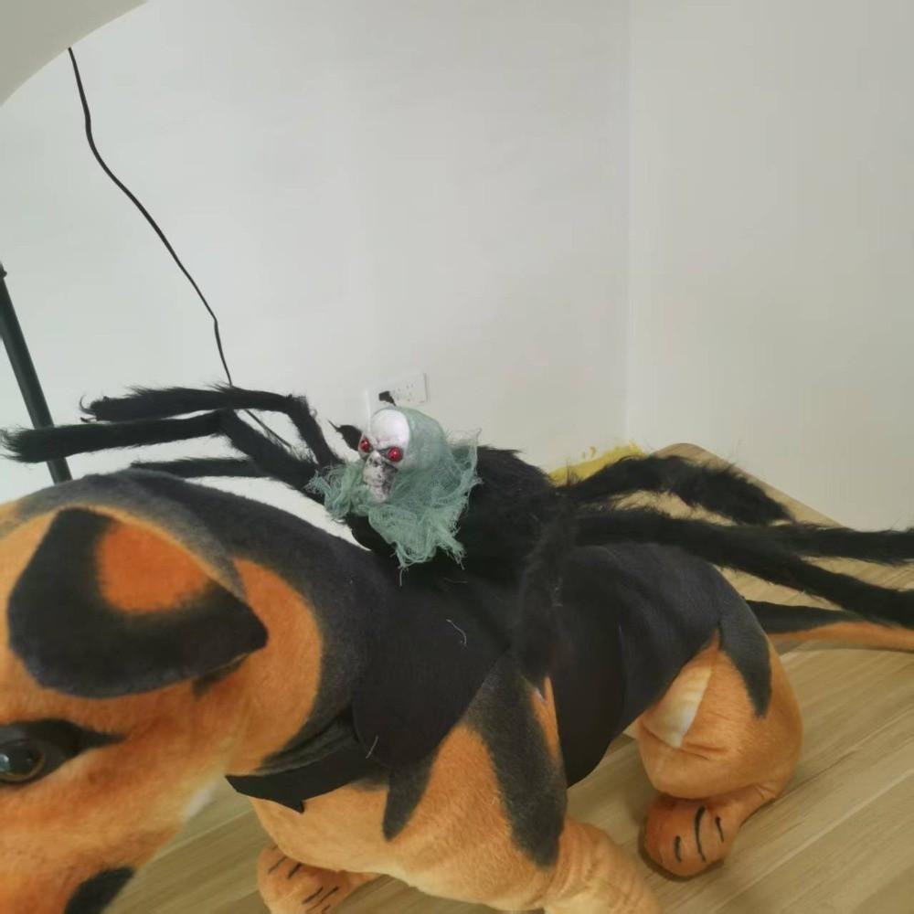 Realistic Cat Spider Outfit Skull Face Design Pet Spider Costume for Prank Prop