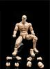 Scale Action Male Body Normal White Muscular Male Body Flexible Miniature Action Figure Body Doll Collection 1/12 Figure, 6-Inch Model, Skin, Model,