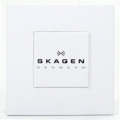 SKAGEN 233XLTTM [parallel import goods]