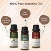 Ananta No Doubt Essential Oil Combo – Bergamot, Clary Sage & Frankincense Aroma Oils (10 Ml × 3)