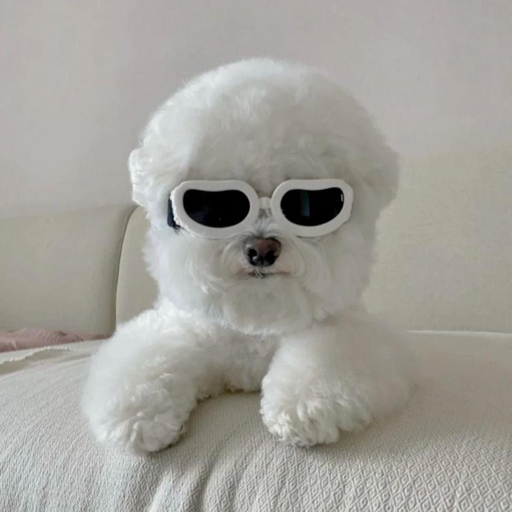Clear Vision Dog Eyewear Fashion Cat Glasses Free Size Dogs Goggles  Puppy