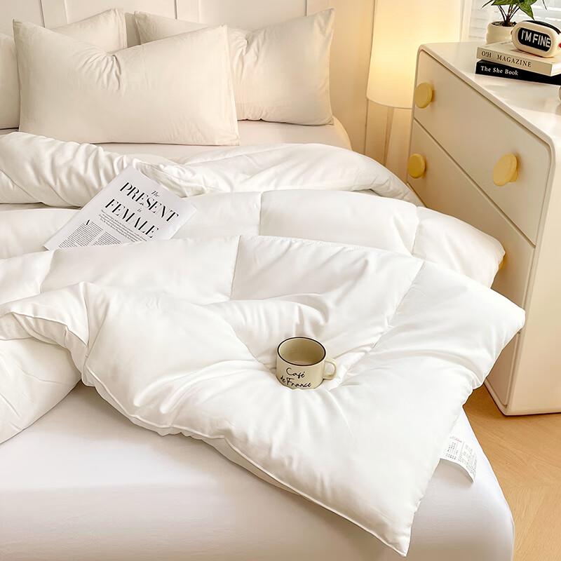 Pugu Nal Series All-Season Soft Warm Duvet Insert