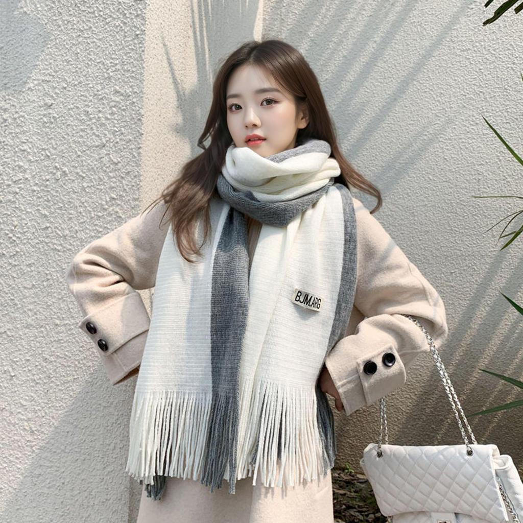 Korean Style Thick Color Block Knitted Scarf for Women, Classic Versatile Imitation Cashmere Winter Shawl