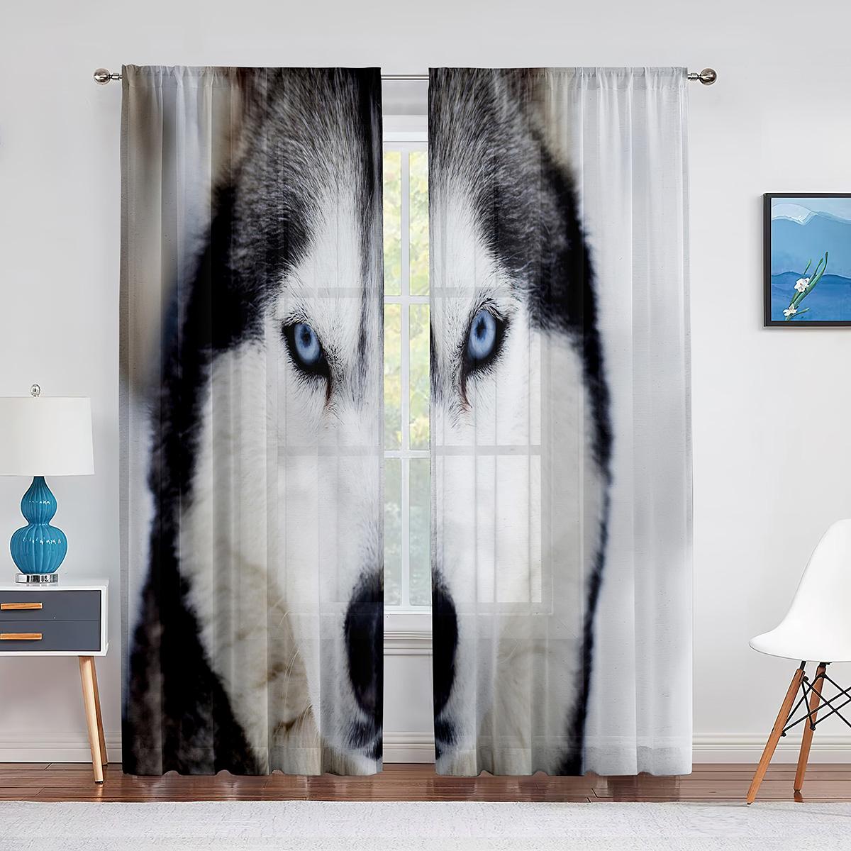 Зимние снежные собаки хаски — фото 15