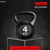 Solid Iron Sand Kettlebell