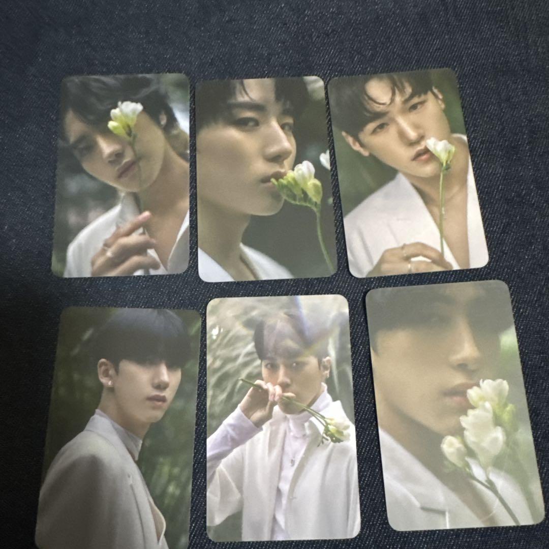 

[USED] JUST B JUSTB JUST BEGUN trading card set