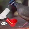 2x5Pcs Poultry Water Drinking Cups for Chicken Hen Automatic Drinker 6.6x10cm , Multicolor,