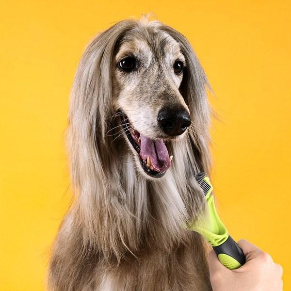 Mogapet pet tangle removal brush MOP-010, Korean pet shampoo