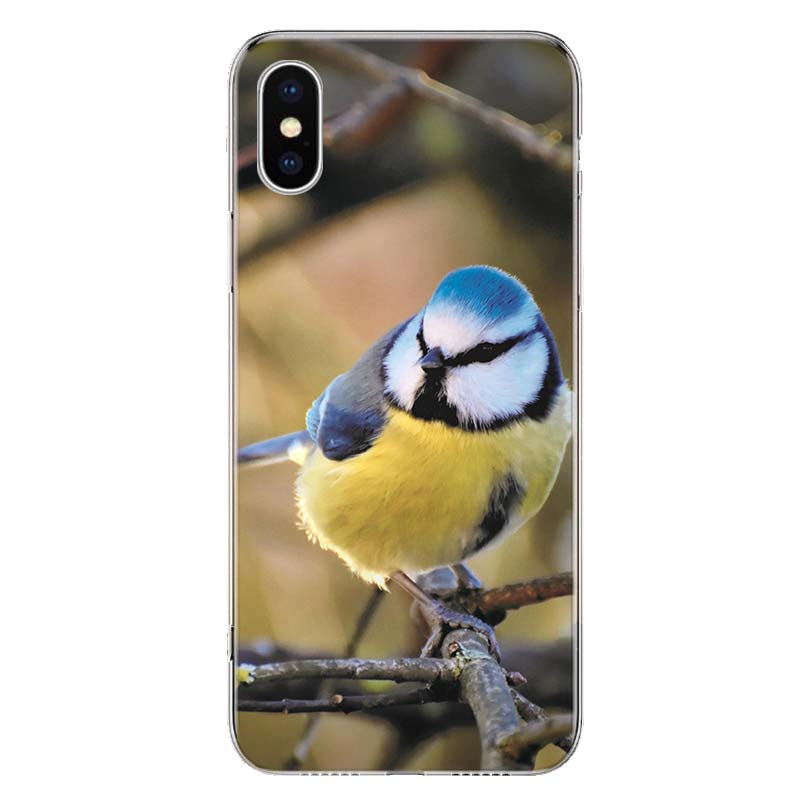 Magpie Bird Cover Phone Case For Apple iPhone 11 12 13 14 Pro 7 XR X XS Max 6 6S 8 Plus + Mini 5 SE Print Soft Cover Coque