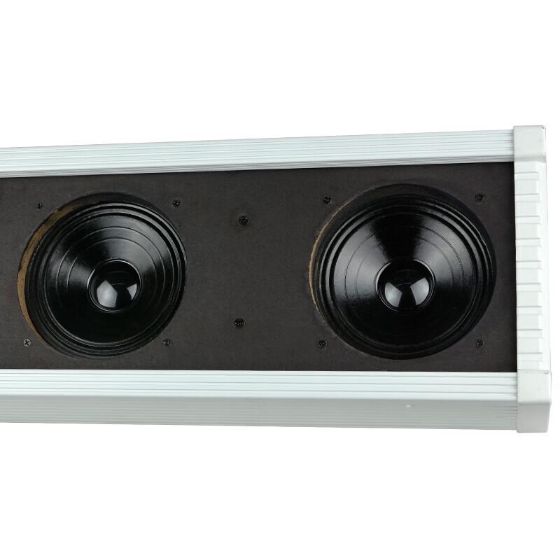 Lingsheng 200W Outdoor Waterproof Public Address Sound Column