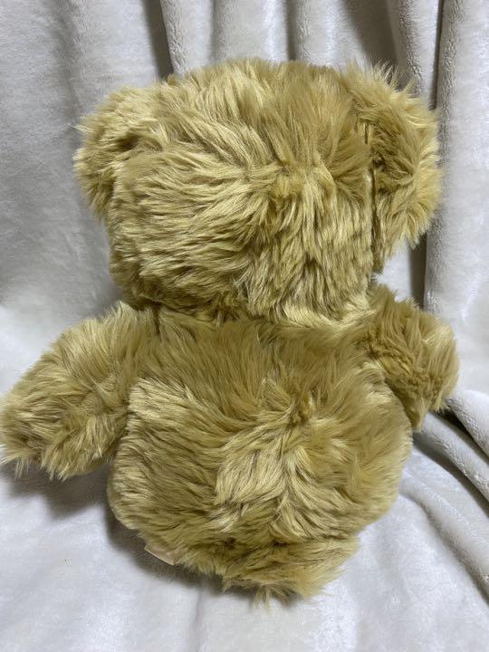 [USED] Brown Teddy Bear