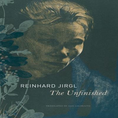 The Unfinished by Reinhard Jirgl Hardback Book 9780857427359
