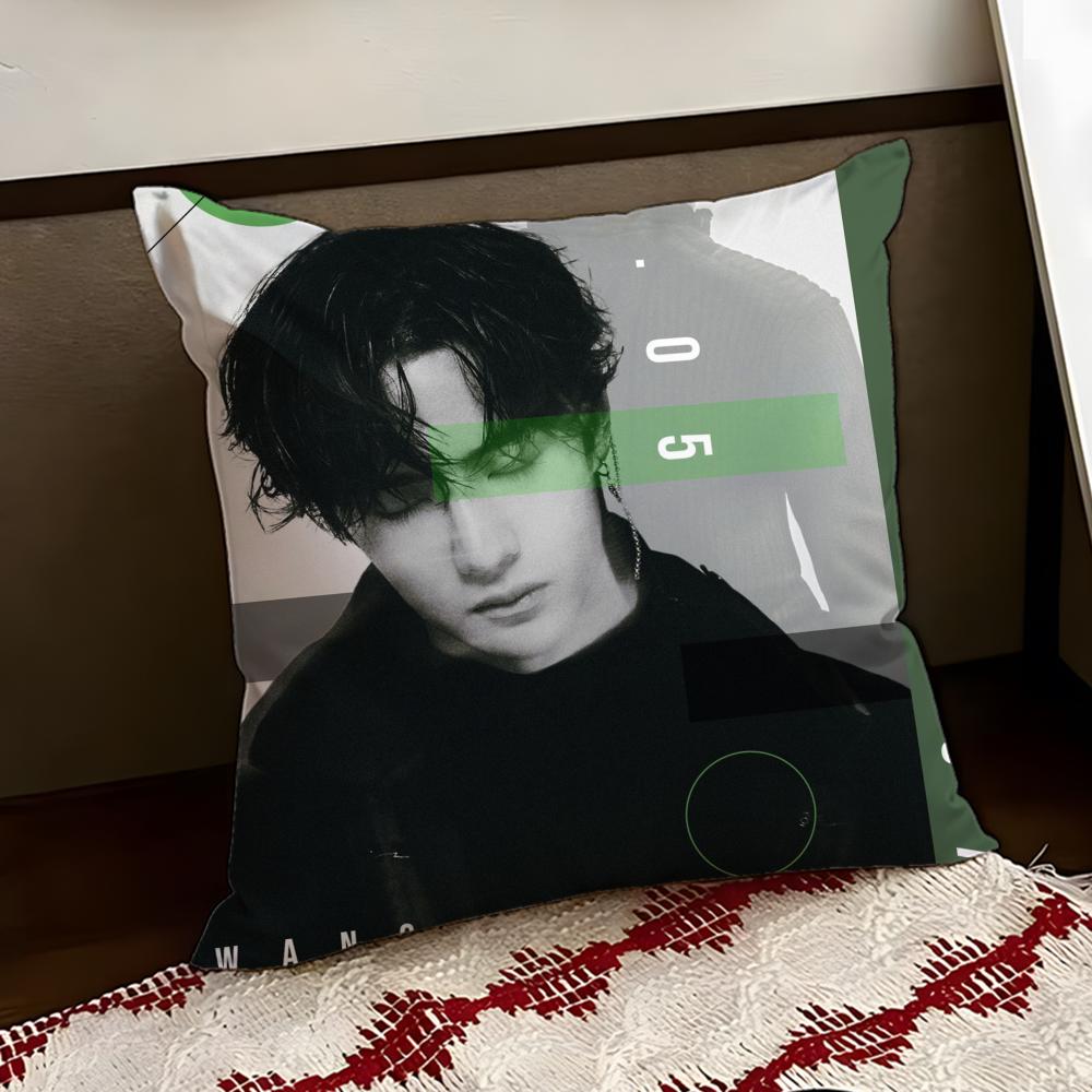 

Singer WWang Yibo Cushion Cover Reversible Soft Durable Pillow Cover Home Car MultiScene Use for Daily Comfort 30X30cm