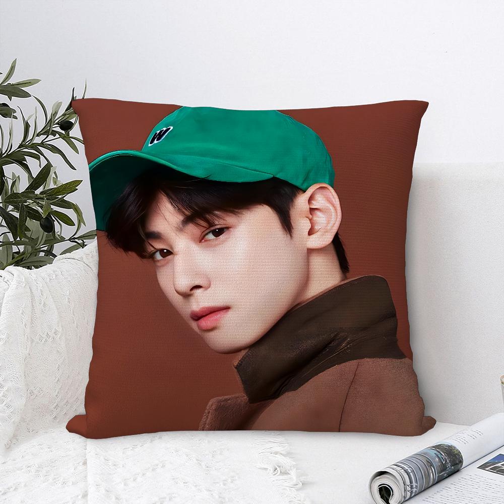 Kpop Singer Cha E-Eun W-Woo Pillow Case Plush Fabric Soft  Pillowcase Double Sided Print   Cushion Cover Throw Pillow Cover 16x16Inch