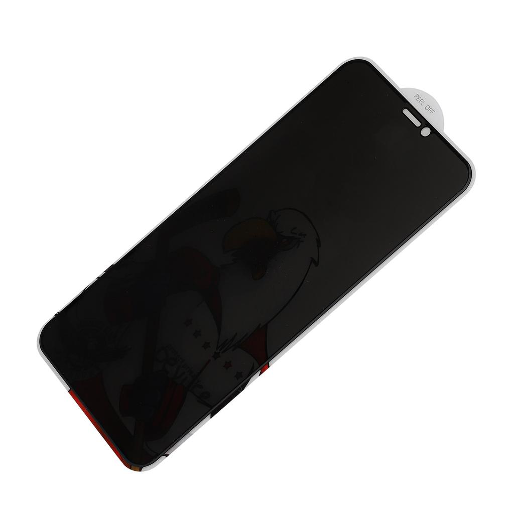 Tempered Glass Anti Peep Screen Protector Mobile Phone Screen Film for iPhone X XS 11Pro