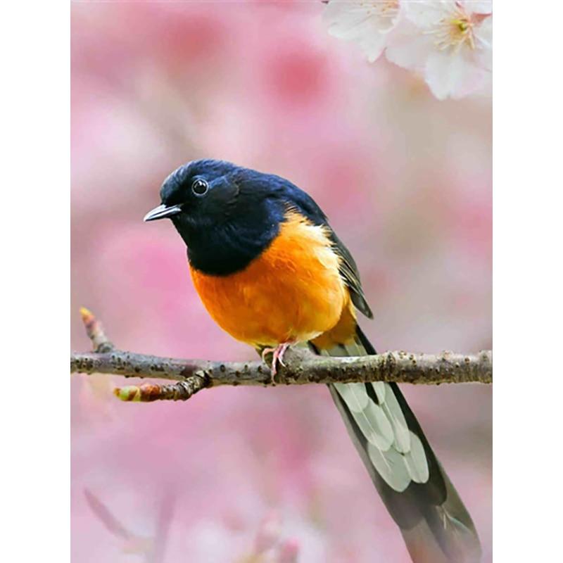 Neue 5D DIY Diamant Malerei Vogel Diamant Stickerei Tiere Kreuz Stich Voll Platz Runde Bohrer Handwerk Wohnkultur Manuelle Geschenk