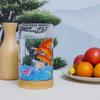 Glass Desktop Fish Tank High Transparency Ecological Tank Betta Fishtank  Desktop Decoration