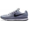 Nike Air Zoom Pegasus 34 Pure Platinum 880555-010
