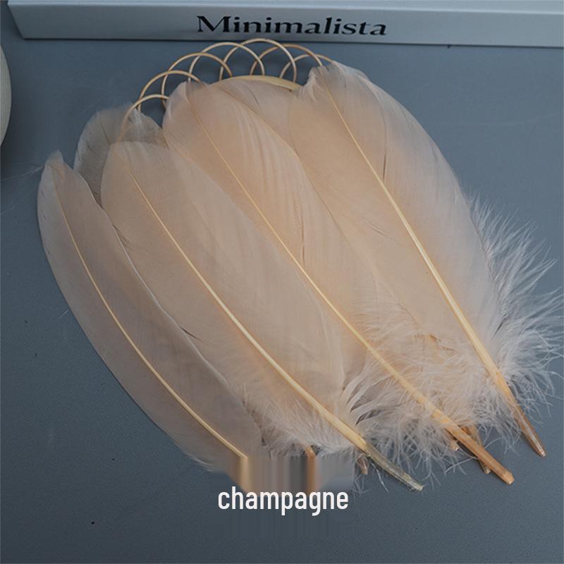 Barevná barvená velká husí pera pro DIY řemesla, ručně vyráběné dekorace a projekty pro mateřské školy