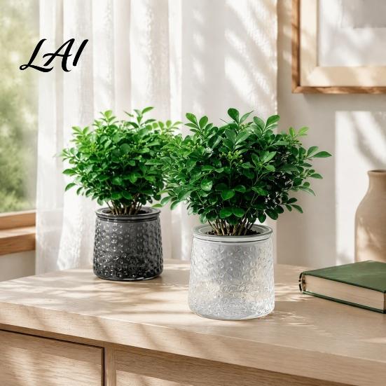 Decorative Aesthetic Flower Pots Self‑Watering Planter Pot Thick Transparent Embossed Desktop Vessels Indoor for Hydroponic Houseplants Succulents