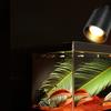 Bedside Working Study Reading Lamp Wall Lamp 4W LED Book Lamp Wall Night Light LED Flexible Spotlights Lamp