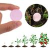Bone Meal Fertilizer Ease Plant Food All-purpose Fertilizer Organic Fertilizer Slow-Release Tablet