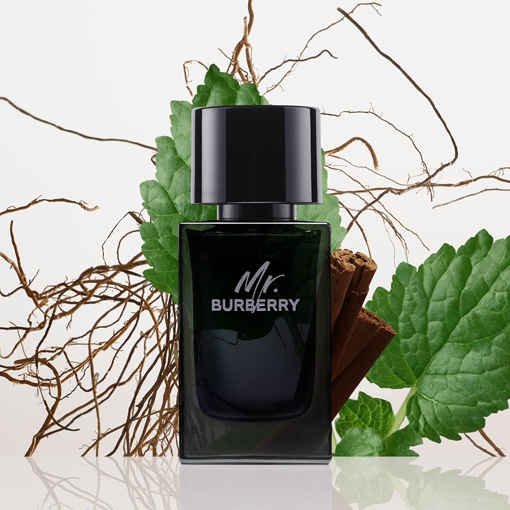 Burberry Mr.  Eau de Parfum 100ml