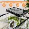 Topper Platform Adjustable Height Hanging Turtle Basking Land with Ramp Transparent Aquarium turtle Resting Tank