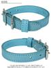 Premium genuine leather collar Italian leather by for small and Adjustable and cute cowhide collar with a thick Sky Small Japanese-made [Maine,