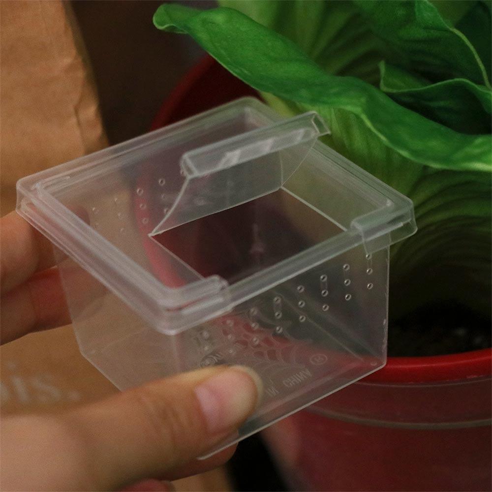 for Scorpion Spider Ants Reptile Accessories Plastic Hatching Tank Lizard Living Box Insect Feeding Box Reptile Habitat