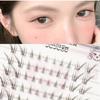 Nreain - Fox Eye Natural Cluster False Eyelashes