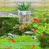 12Pieces Transparent Wall Mount Planter Cup Water Plant Holder For Fishtanks Greenery And Aquascaping Scene Decors