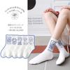 Lolita Socks Female Tube Ins Korea  Fashion Couple Blue Summer Crew JK Socks Women Men Harajuku Kawaii JK Socks
