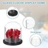 uxcell Glass Cloche Display Dome 6.6 x 5.9 inch Glass Dome Display Case Black