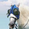 Goggles, Professional Sandproof Eye for Riding