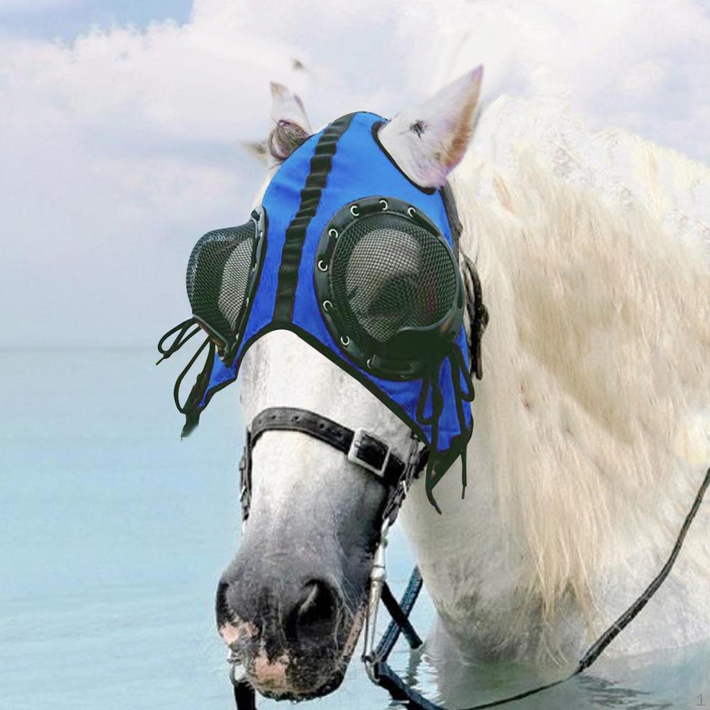 Goggles, Professional Sandproof Eye for Riding