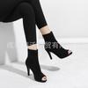 Women's cool boots Elastic boots Fish mouth thin heels Super high heels Women's sandals Jazz stage performance Women's short boots Dancing