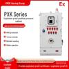 Explosion-Proof PXK Stainless Steel Dustproof Control Box & Instrument Panel (IIC Level) - Complete Electrical Set